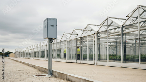 Long greenhouse structure with control box and workers