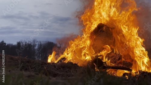 Video clip of a large bonfire burning intensely in an open field during dusk. The camera remains static, capturing the flames against a backdrop of trees and a cloudy sky.