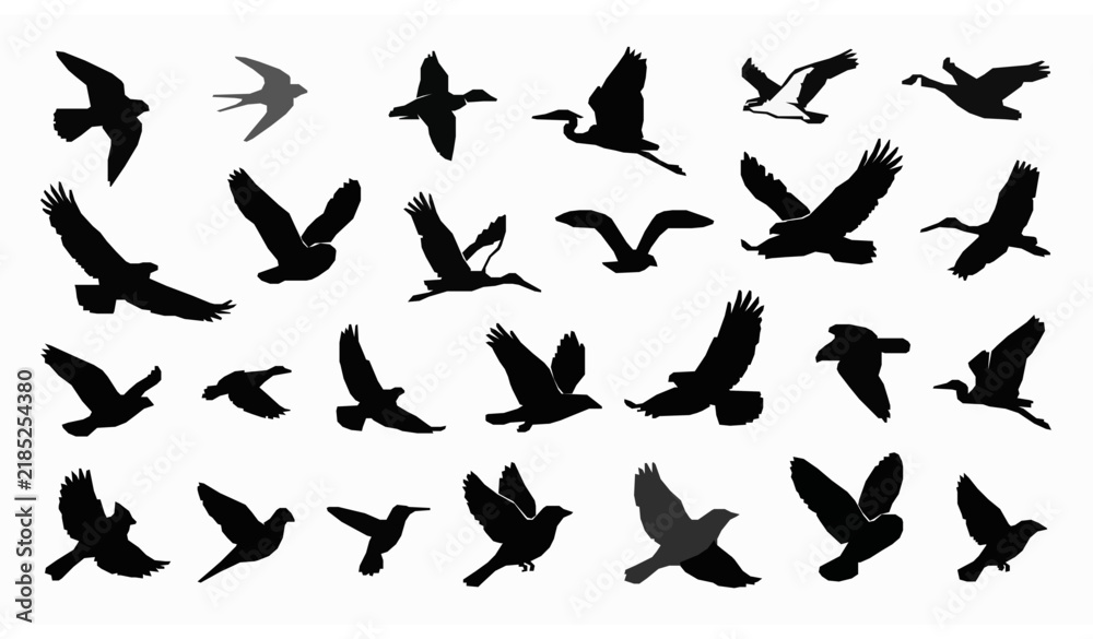 Obraz premium Flying Bird Silhouette Vector Set with Eagle, Owl, Heron, Hummingbird, Dove, and Songbird Icons for Nature Designs