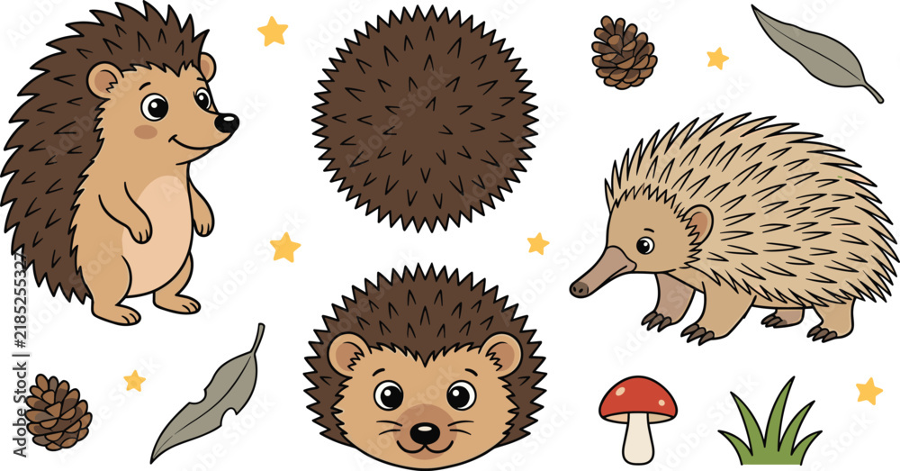 Obraz premium Cute Hedgehog and Echidna Vector Set with Character Poses, Spiky Ball, Head Portrait, Pinecone, Mushroom, Leaf, and Forest Animal Design Elements