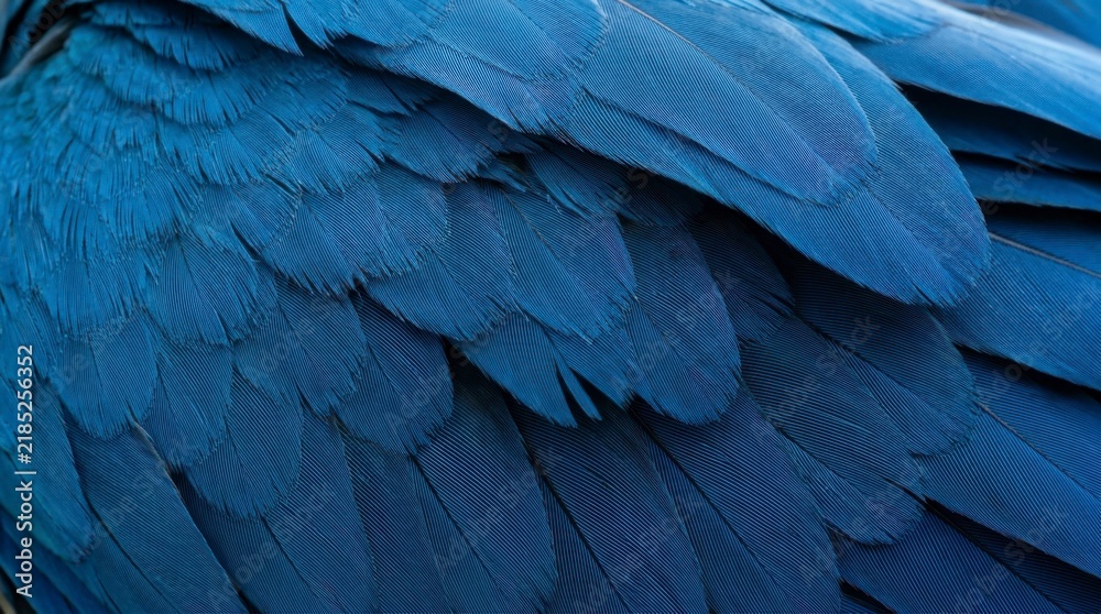 Obraz premium Close-up of vibrant blue macaw feathers showcasing intricate natural patterns and rich texture