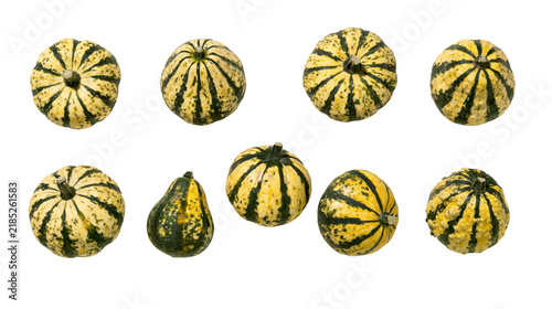 Bild auf Leinwand Isolated collection of vibrant striped and speckled gourds for autumn and Thanksgiving decor