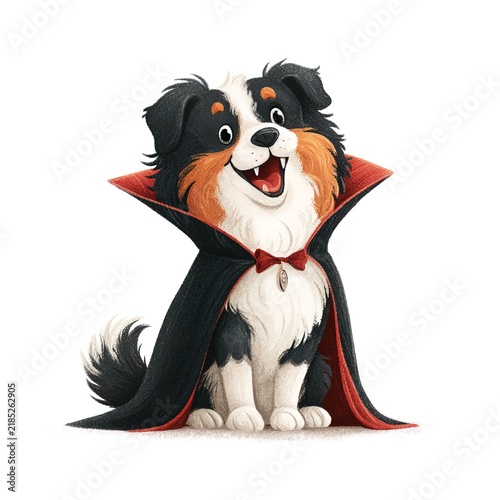 Happy fluffy australian shepherd dog in dracula vampire outfit with bow tie isolated on white. Best for children halloween storybook illustration, pet shop holiday sale banner or cartoon poster