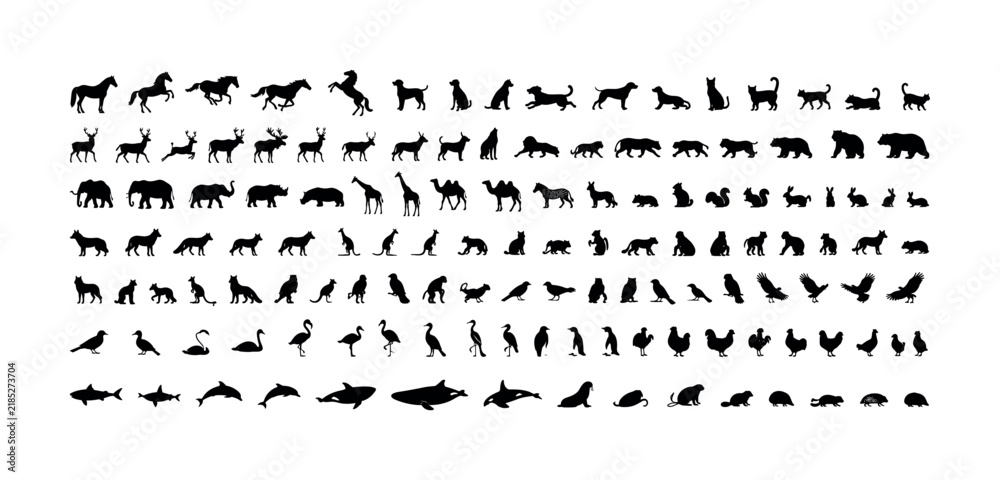 Obraz premium Collection of diverse animal silhouettes in black and white