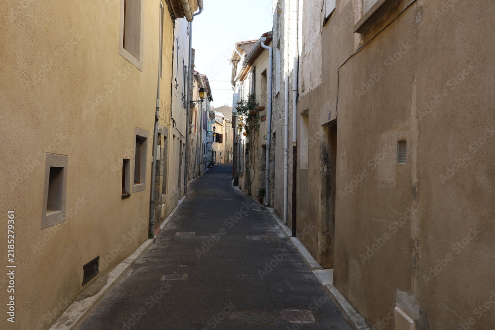 Obraz premium Vieille rue bordée de maisons typiques, village de Lagrasse, département de l'Aude, France