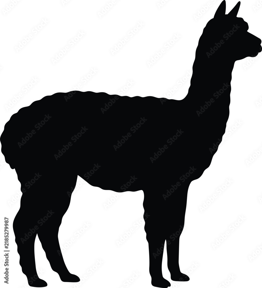 Fototapeta premium Alpaca silhouette vector. Llama vector icon