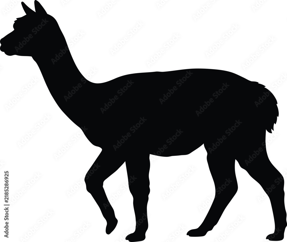 Fototapeta premium Alpaca silhouette vector. Llama vector icon