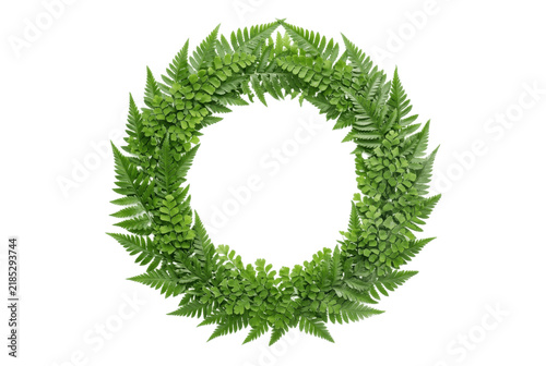 Circular Wreath Made of Fresh Green Fern Leaves on Black Background