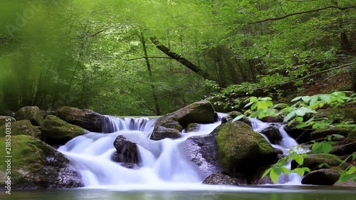 Slow motion tracking shot of waterfall flowing over mossy rocks in green forest stream
