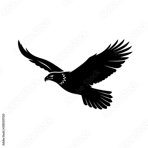 Fotografía Soaring bald eagle silhouette black raptor vector for outdoor apparel and nature conservation branding