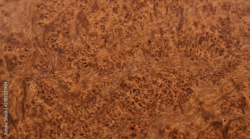 Rich Walnut Burl Wood Veneer Texture, Natural Grain Pattern, Warm Brown Organic Surface Background