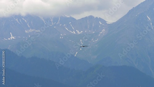 Golden eagle soaring gracefully over majestic snow-capped Trans-Ili Alatau mountain range with lush green ridges under cloudy sky, wide tracking shot.