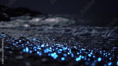 Bioluminescent waves shine at night along the beach