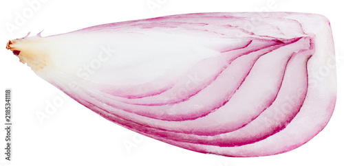 Quarter piece of raw red onion isolated on transparent background