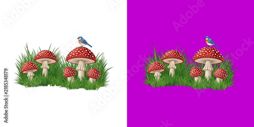Little blue bird sitting on red spotted mushrooms in green grass transparent png