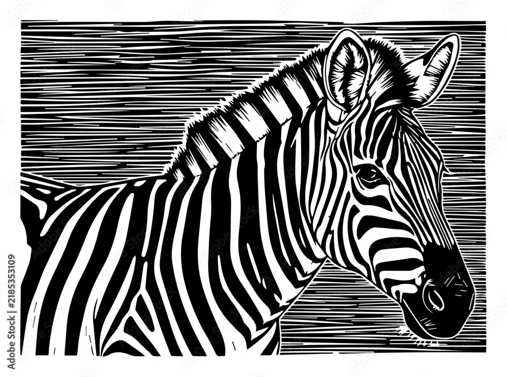 Fototapeta premium Zebra head portrait woodcut illustration, vintage safari animal engraving, african wildlife linocut vector art