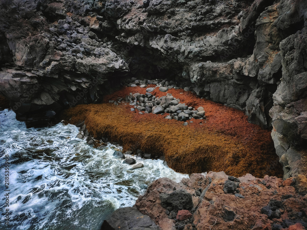 Obraz premium Orange algae covering rocks in a volcanic sea cave