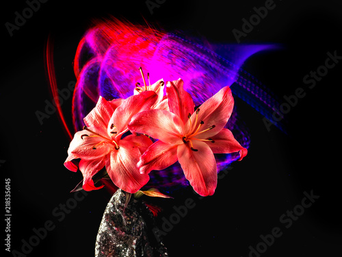 Принти на полотні Vibrant orange lily blooms against dark background