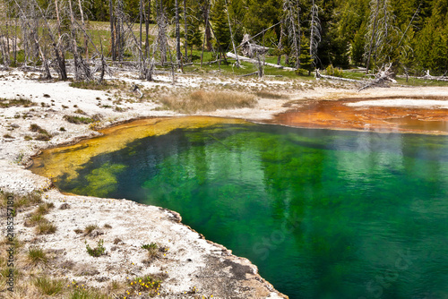 Fotografie Vibrant green hydrothermal pool in Yellowstone National Park