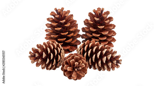 Konstfotografi Natural brown pinecones collection, rustic forest pine cones for winter decor, g
