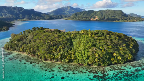 Photo of French Polynesia tropical paradise 
island in Pacific Ocean. Beautiful photography with
sandy beach, palm trees, coral reef, azure ocean, sky 
with clouds on horizon. Drone aerial view.