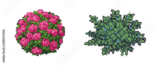 Pixel art vector illustration of pink flowering bush and green leafy bush