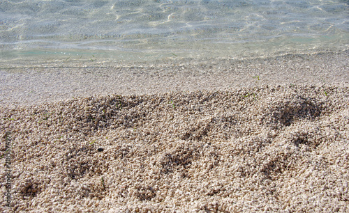 Bild auf Leinwand Crystal clear Adriatic Sea and pebble beach on the Croatian coast