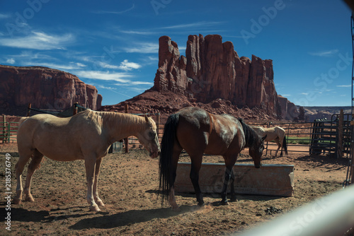 Fotografía Horses drinking water at a desert corral in Monument Valley, with red rock butte