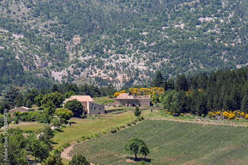 Landschaft mit einem Gutshof im Luberon, Provence