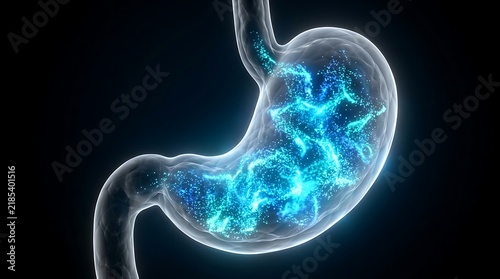 Obraz na płótnie Human stomach with glowing blue particles