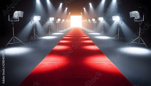 Elegant Red Carpet Scene Framed by Professional Event Lights