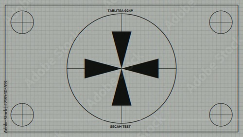 Retro analog television test pattern with glitch distortion and scanline flicker effects.