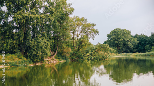 Peaceful lake bordered by mature trees, reeds, and reflective green water
