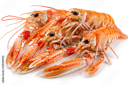 Fresh seafood display with multiple prawns on a white background
