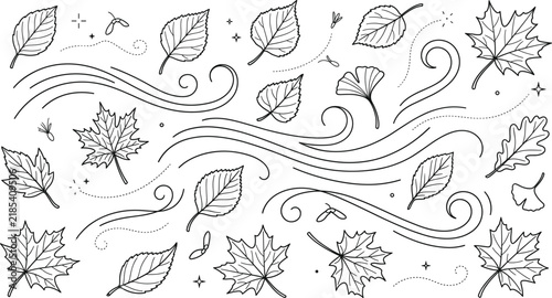 Autumn wind blowing leaves vector icon set with flying maple oak and birch foliage in line art style