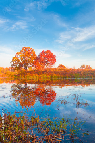 Autumn forest reflected in still lake