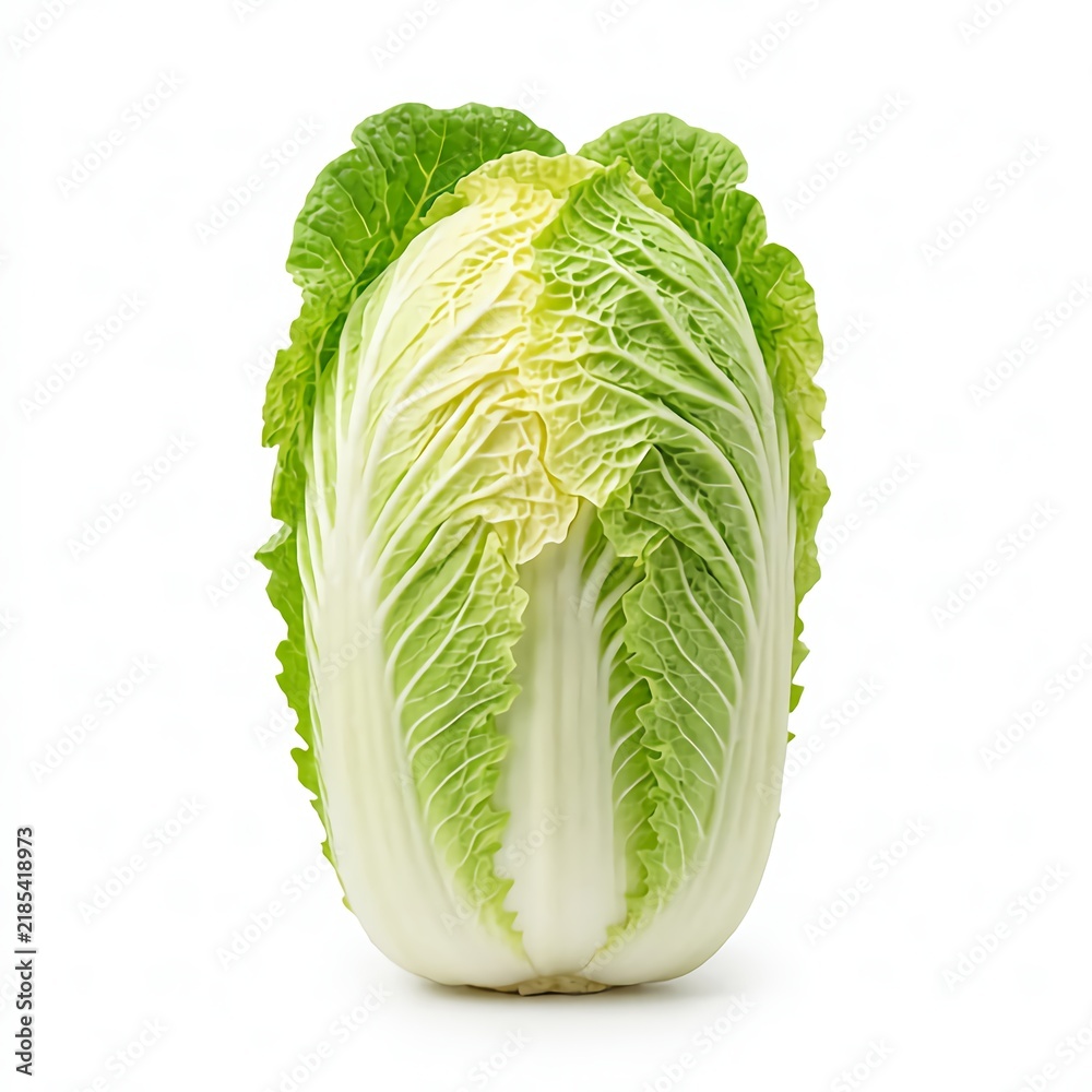 Fototapeta premium Napa Cabbage 【Studio Quality】 Pure white background front view cutout material