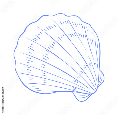 Seashell sketch doodle in blue. Vintage scallop shell icon with marine sea and beach style. Italian vintage sketch for marine icon.