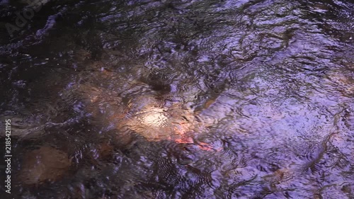 Clear River Water Flowing from Left to Right Over Stones with Natural Ripples