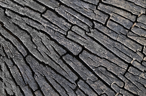 Fotografie Natural burned and cracked wooden background