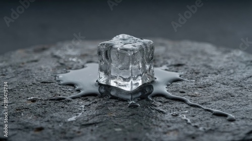 An ice cube melts on a black stone.