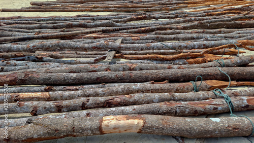 Obraz na plátně High angle shot of many raw wooden logs and tree branches laid neatly in parallel rows on sandy beach ground for construction or drying