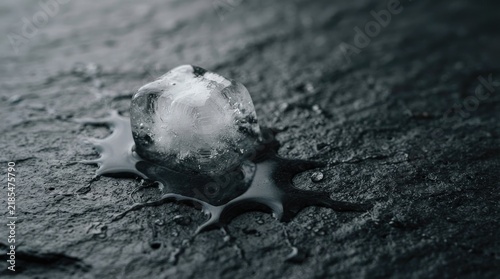 An ice cube melts on a black stone.