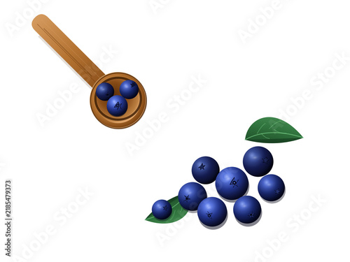 Fresh blue berries in a wooden spoon and loose on