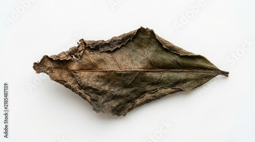 Tea leaf isolated on white background, top view