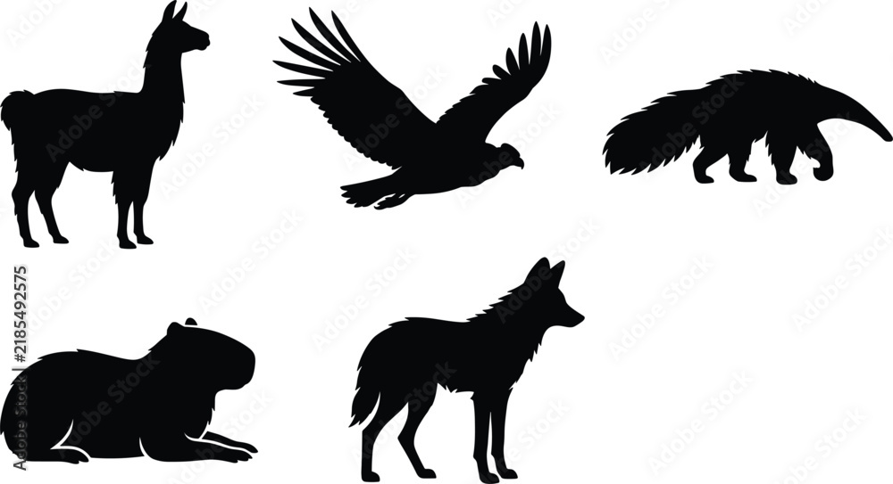 Fototapeta premium South American animals black silhouettes set featuring detailed wildlife graphics of a llama, flying condor, giant anteater, sitting capybara, and maned wolf isolated on white.