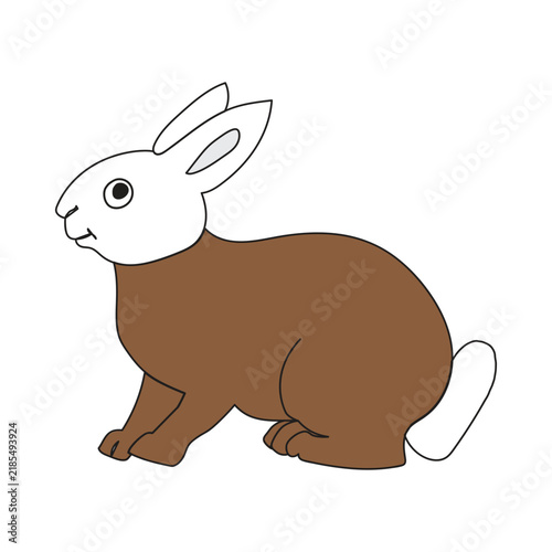 vector illustration of a rabbit