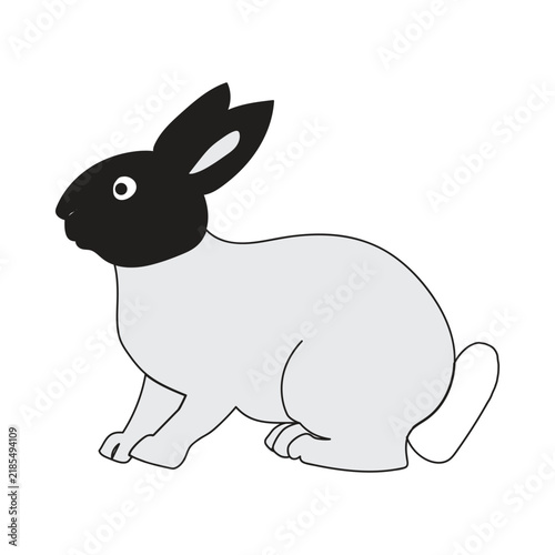 vector illustration of a rabbit