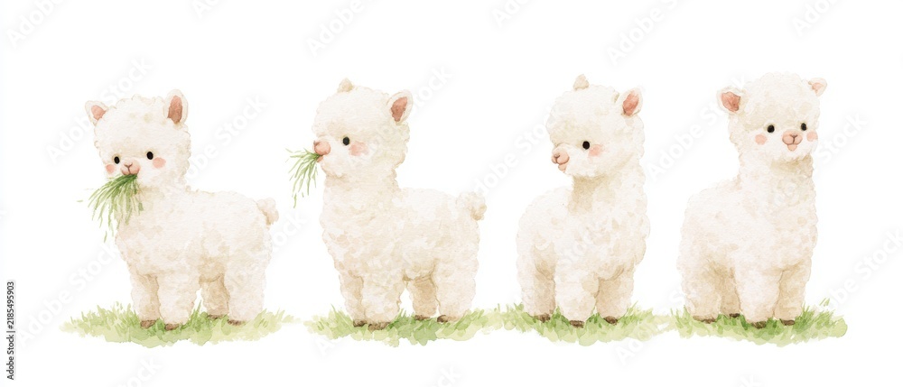 Fototapeta premium Cute watercolor illustration of a fluffy alpaca standing and eating hay, four different poses in a horizontal row, character sheet, isolated on a white background, soft colors, children's book