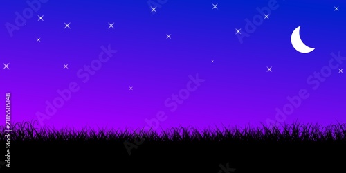 Night sky with crescent moon and twinkling stars over silhouette grass